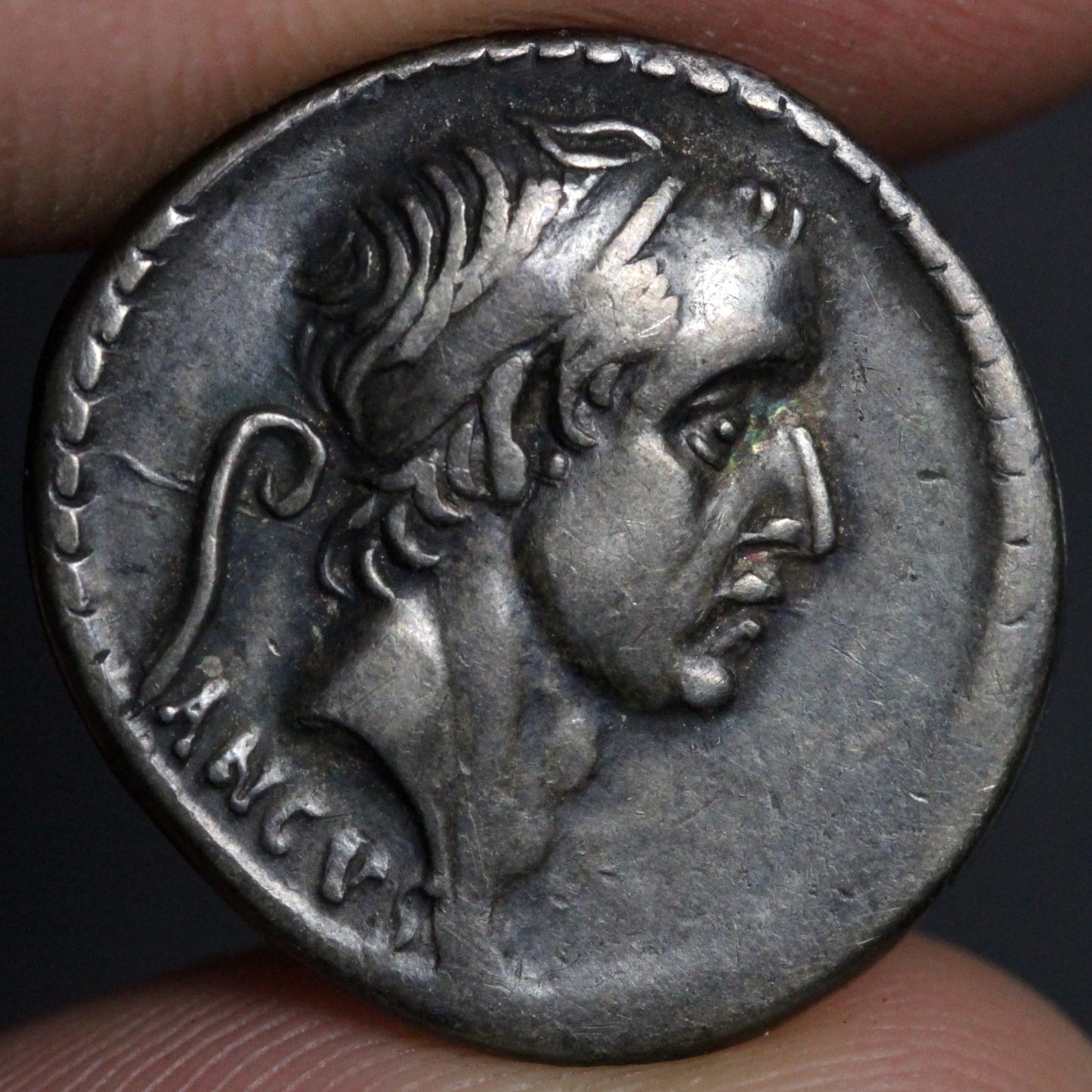 marcius philippus denarius obverse side