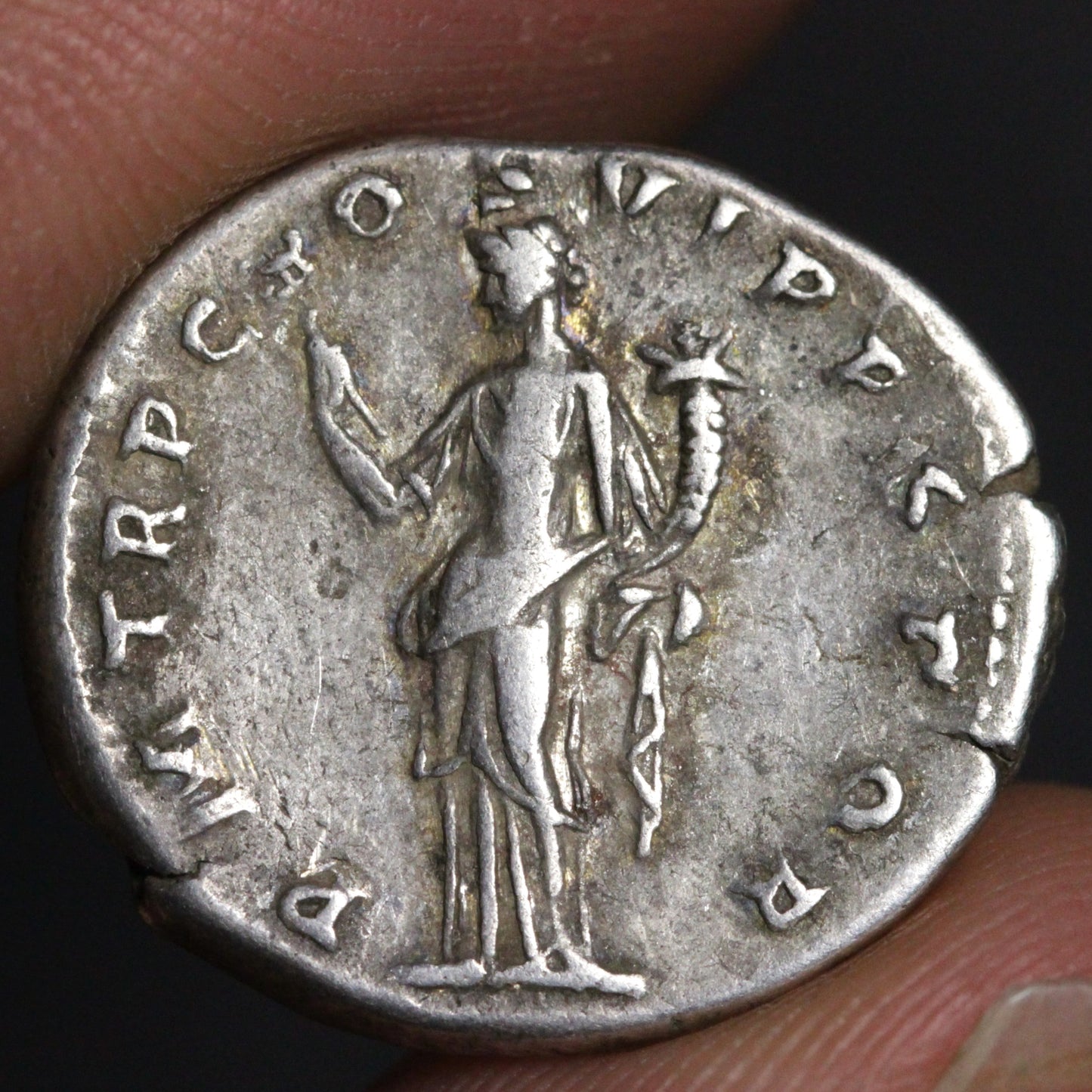 trajan denarius reverse side, Felicitas holding cornucopia