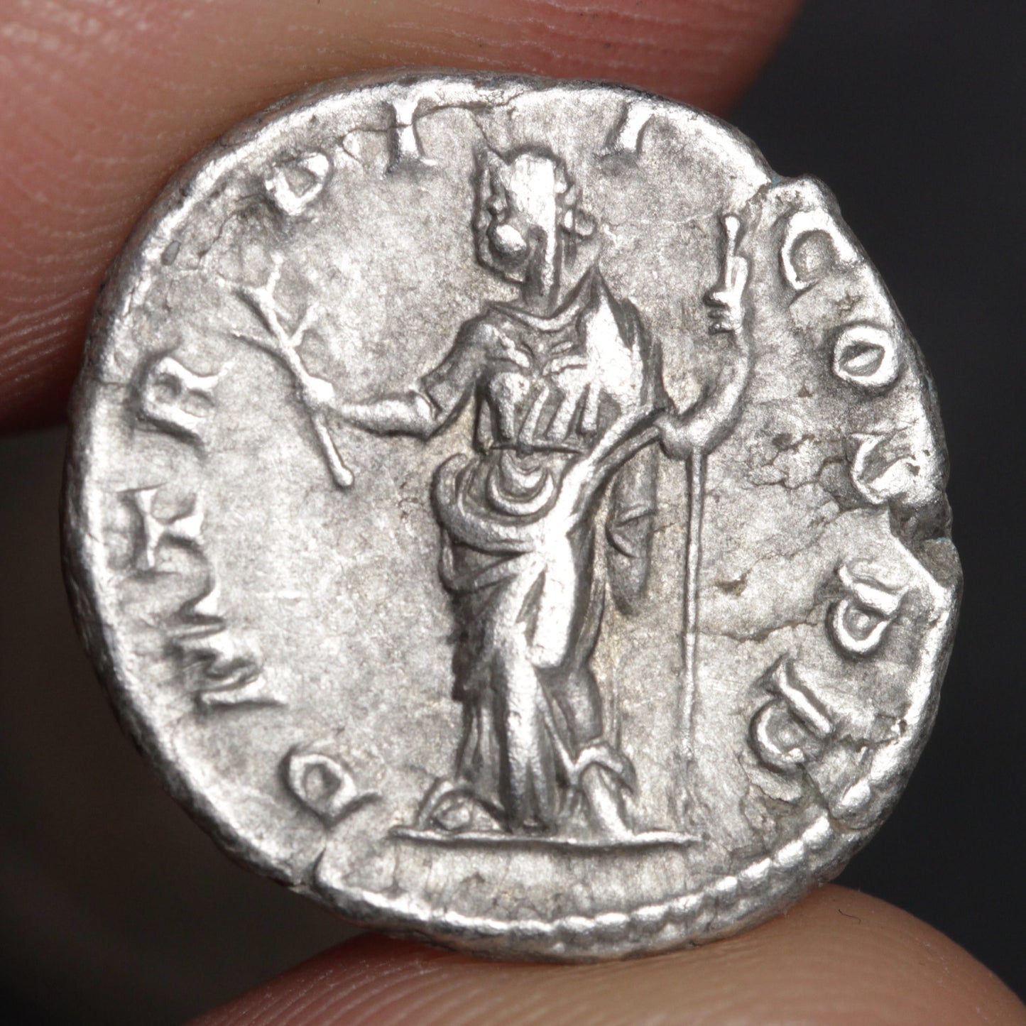 severus alexander denarius reverse