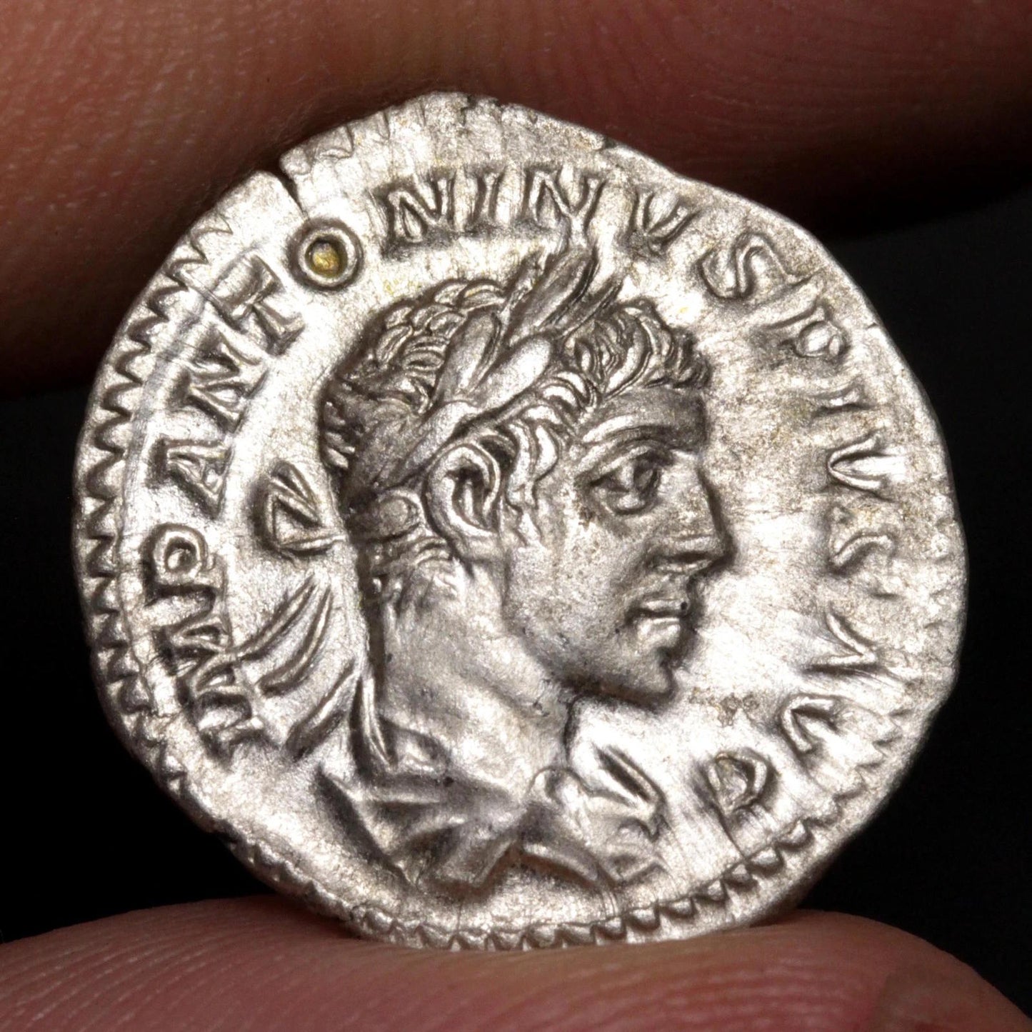 An ancient silver Roman coin featuring the profile of Elagabalus, held between two fingers against a dark background.