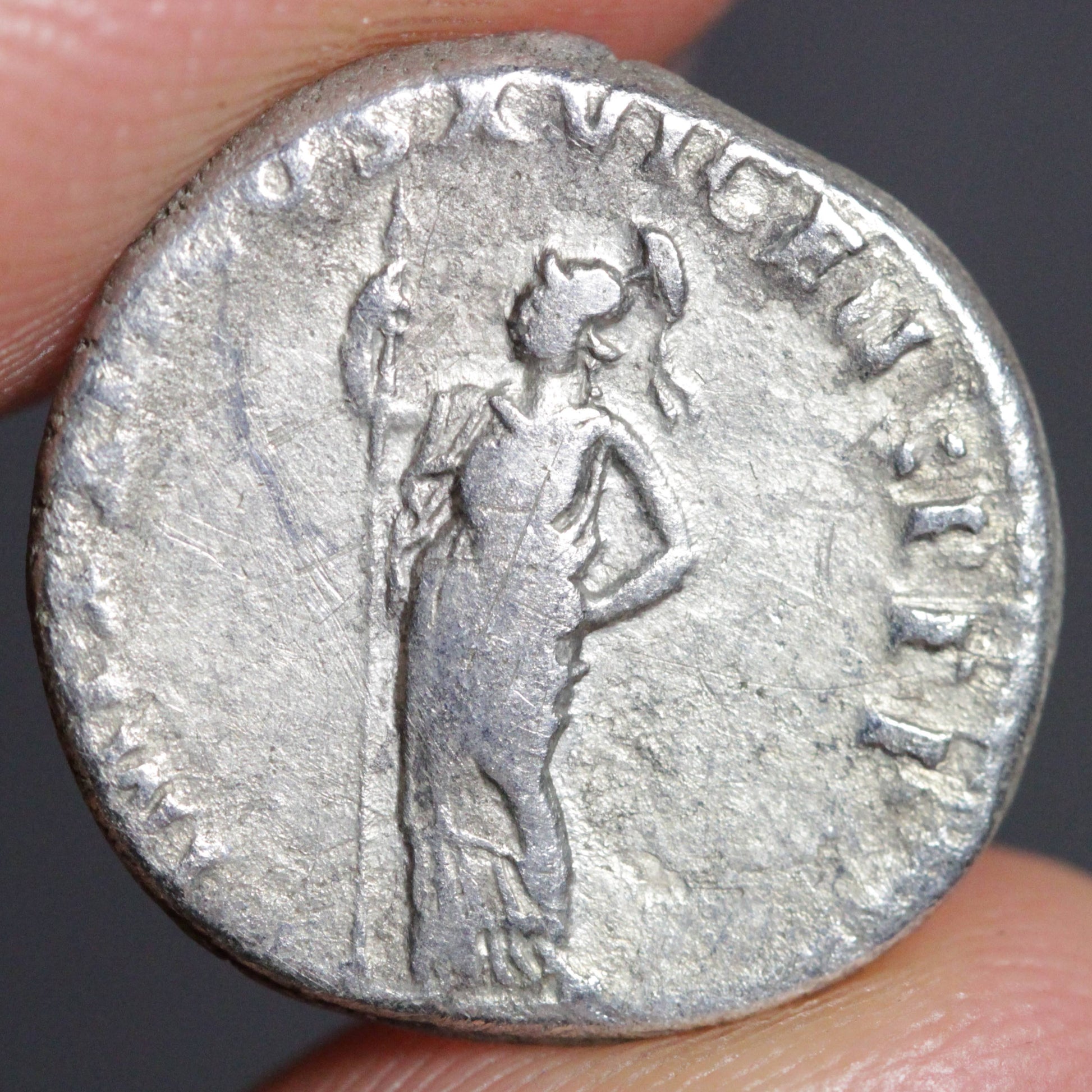domitian denarius reverse