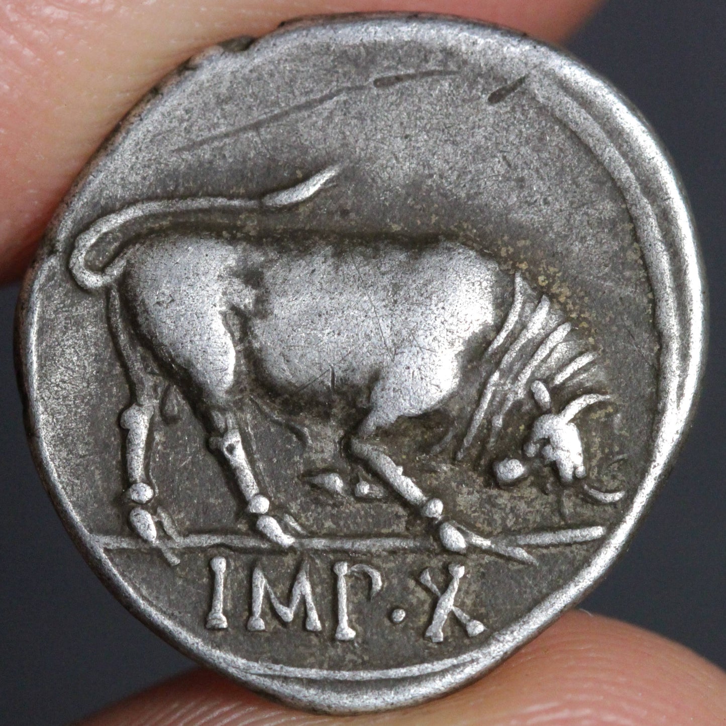 augustus denarius reverse
