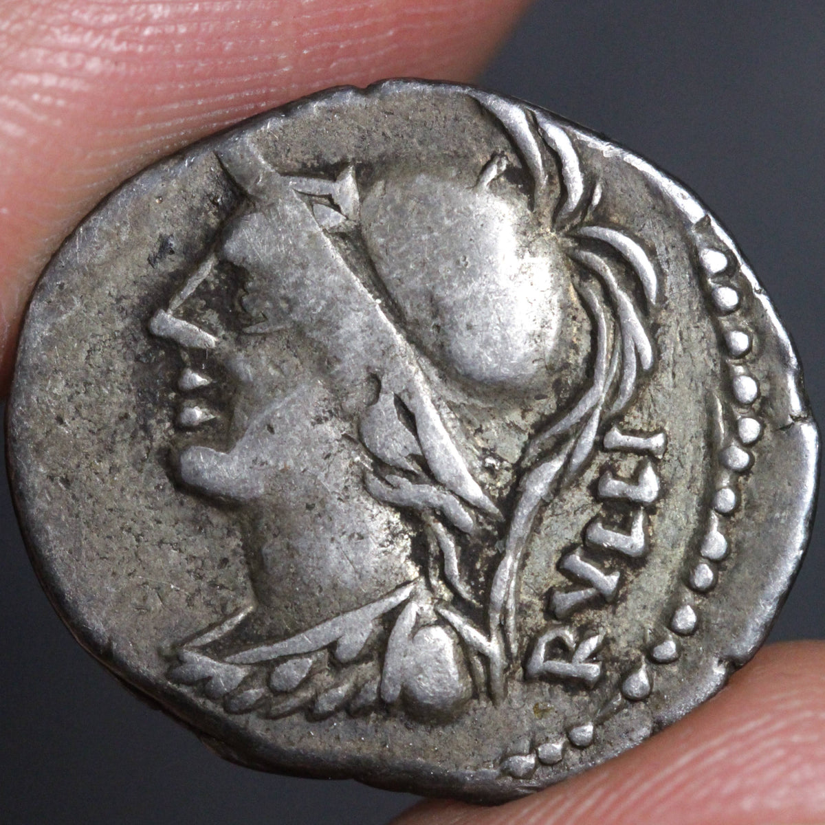 Servillus Servilius Rullus Denarius Ancient Roman Republic Silver Coin 100BC RRC ...