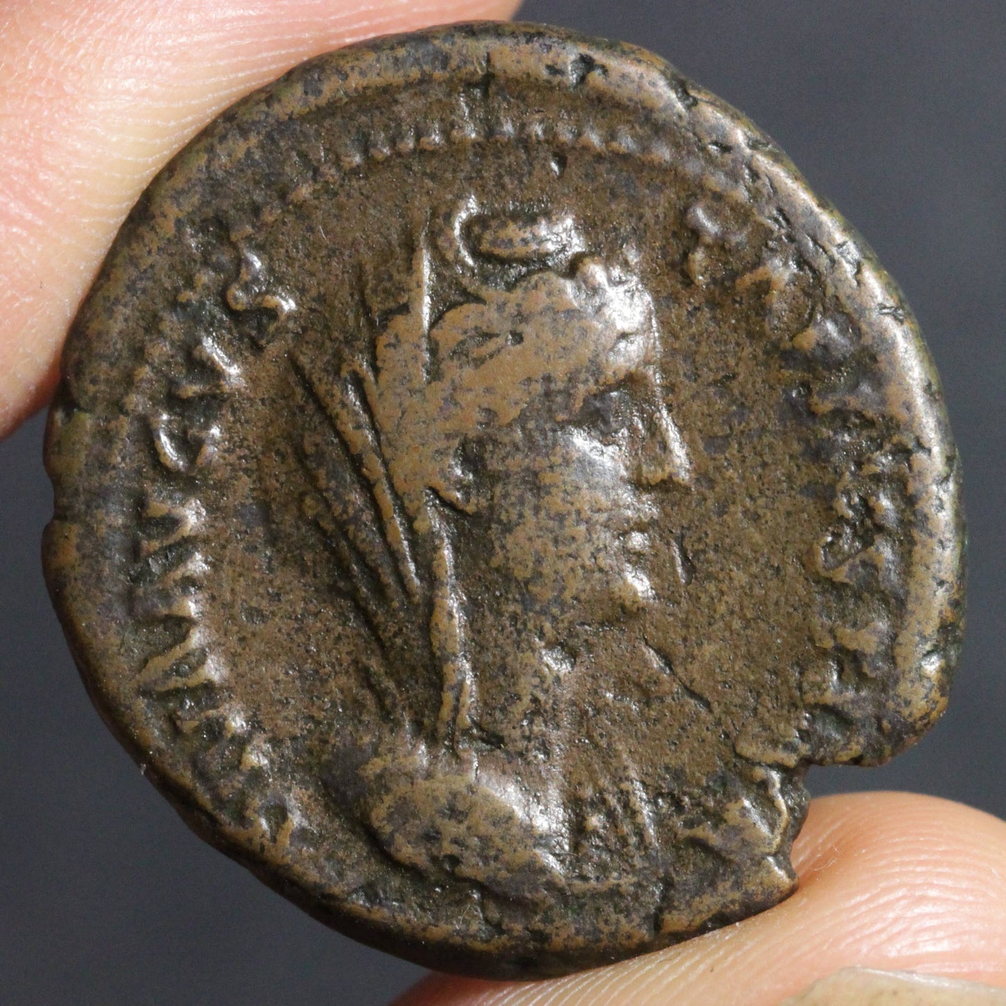 faustina bronze as coin, obverse side
