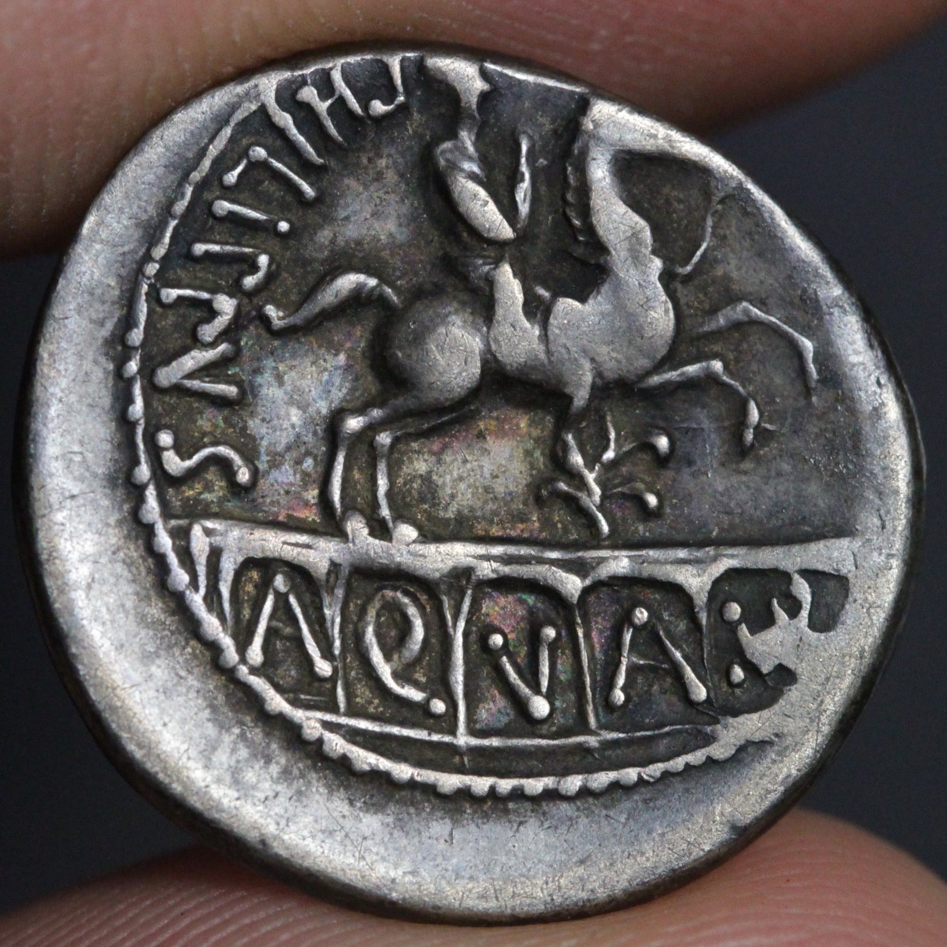 marcius philippus denarius reverse side