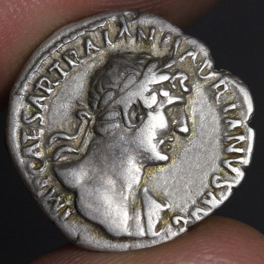 obverse side of hadrian denarius showing portrait of hadrian