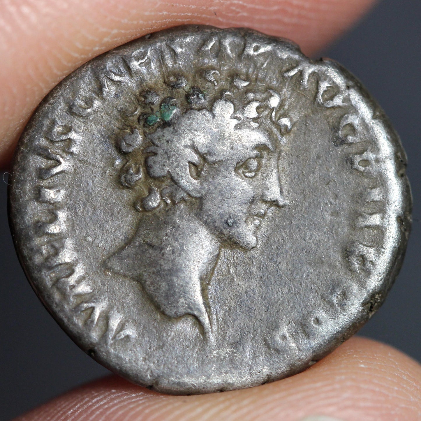 reverse side of the coin, featuring the portrait of young Marcus Aurelius