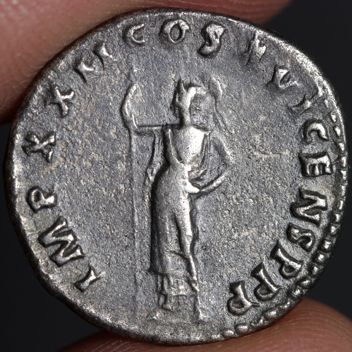 reverse side of domitian denarius showing minerva
