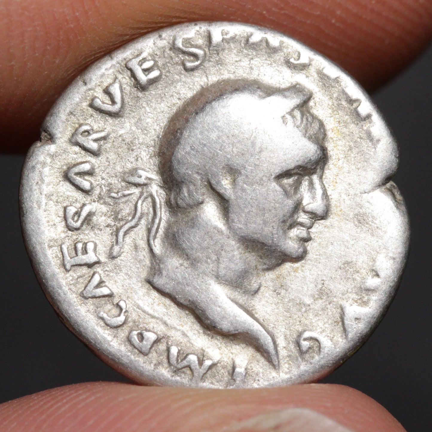 vespasian denarius obverse side