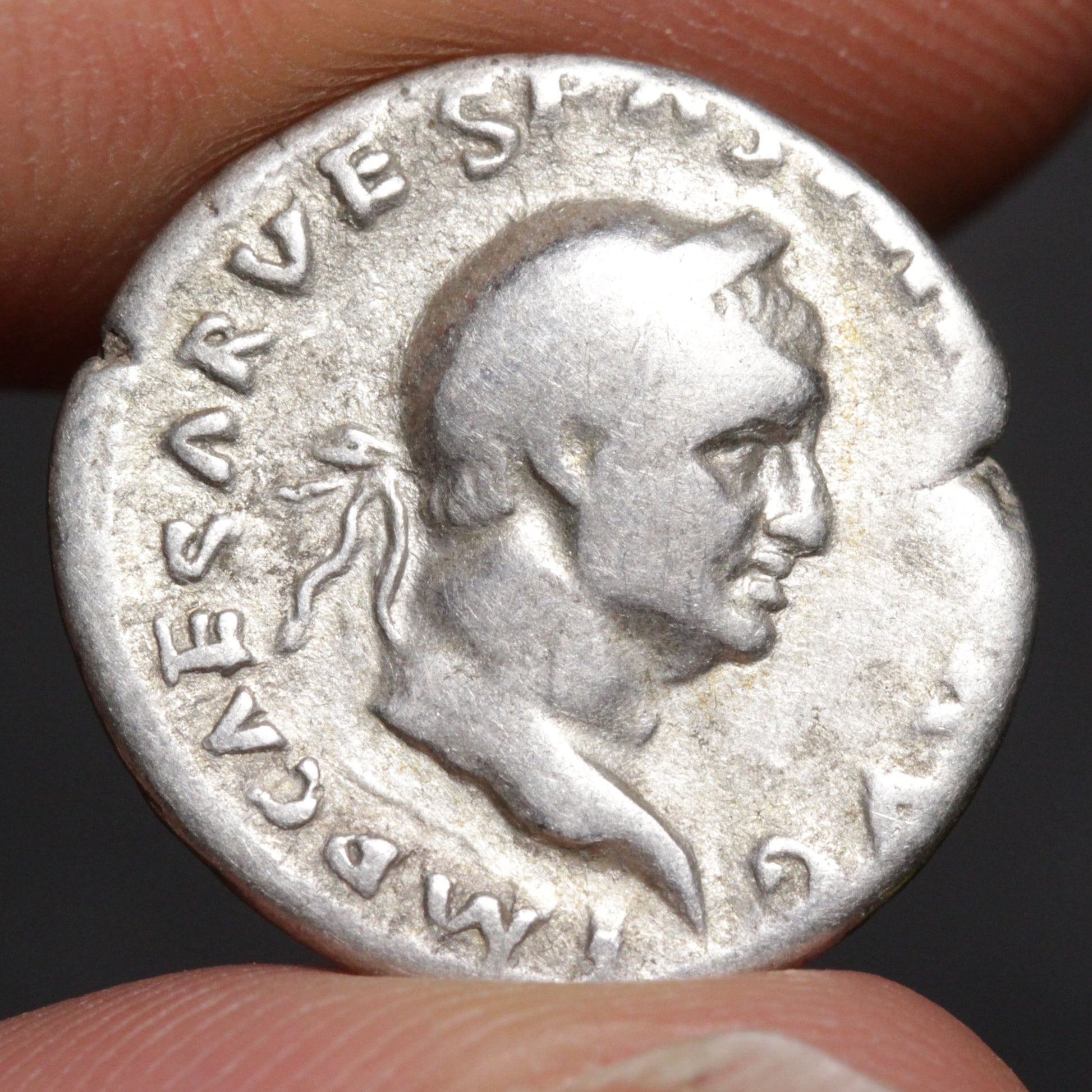 vespasian denarius obverse side
