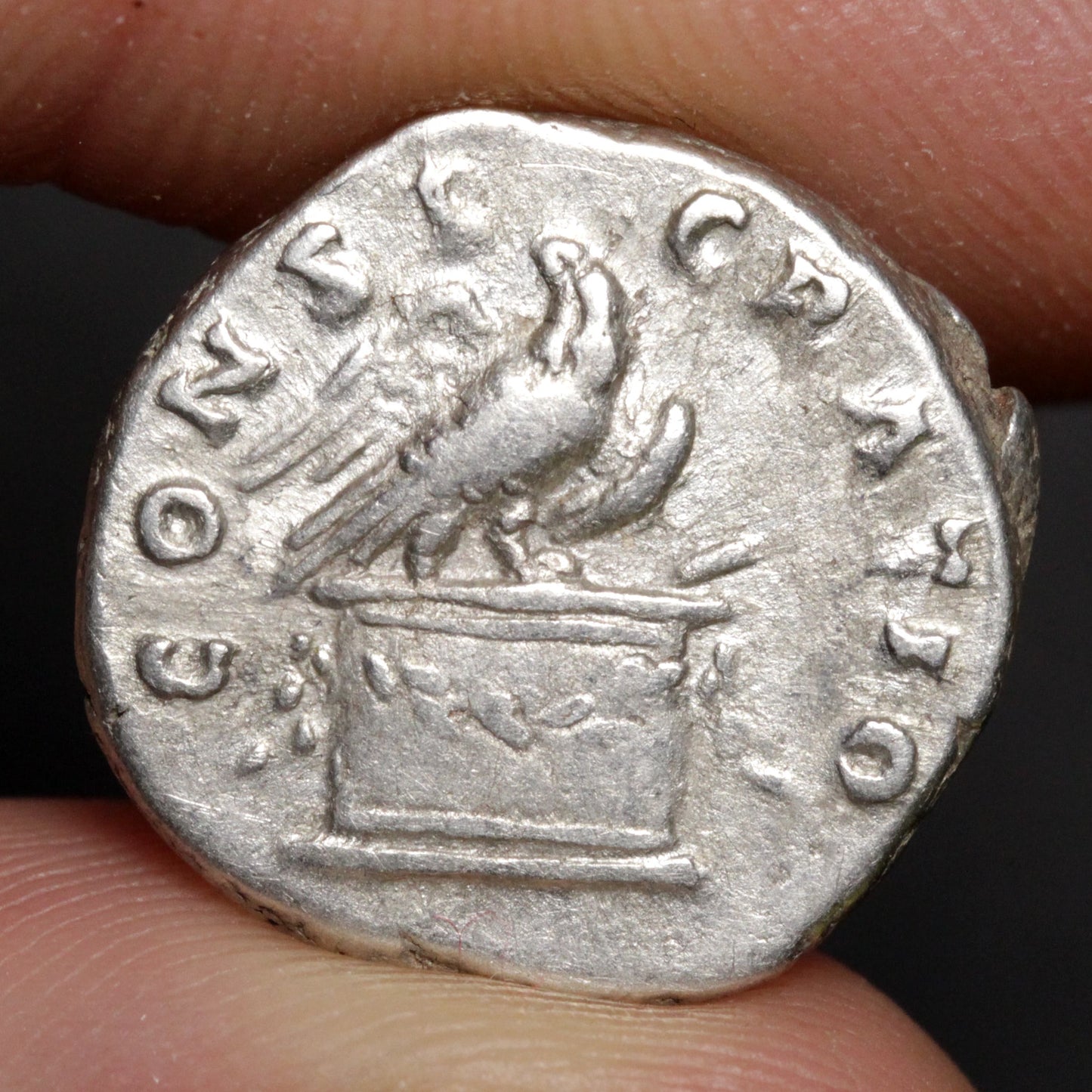 Ancient silver coin with a bird emblem held between fingers against a dark background
