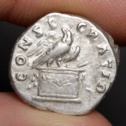 Ancient silver coin with a bird emblem held between fingers against a dark background