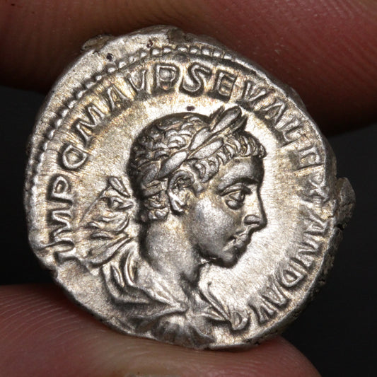 roman denarius being held between two fingers, design shows portrait of severus alexander