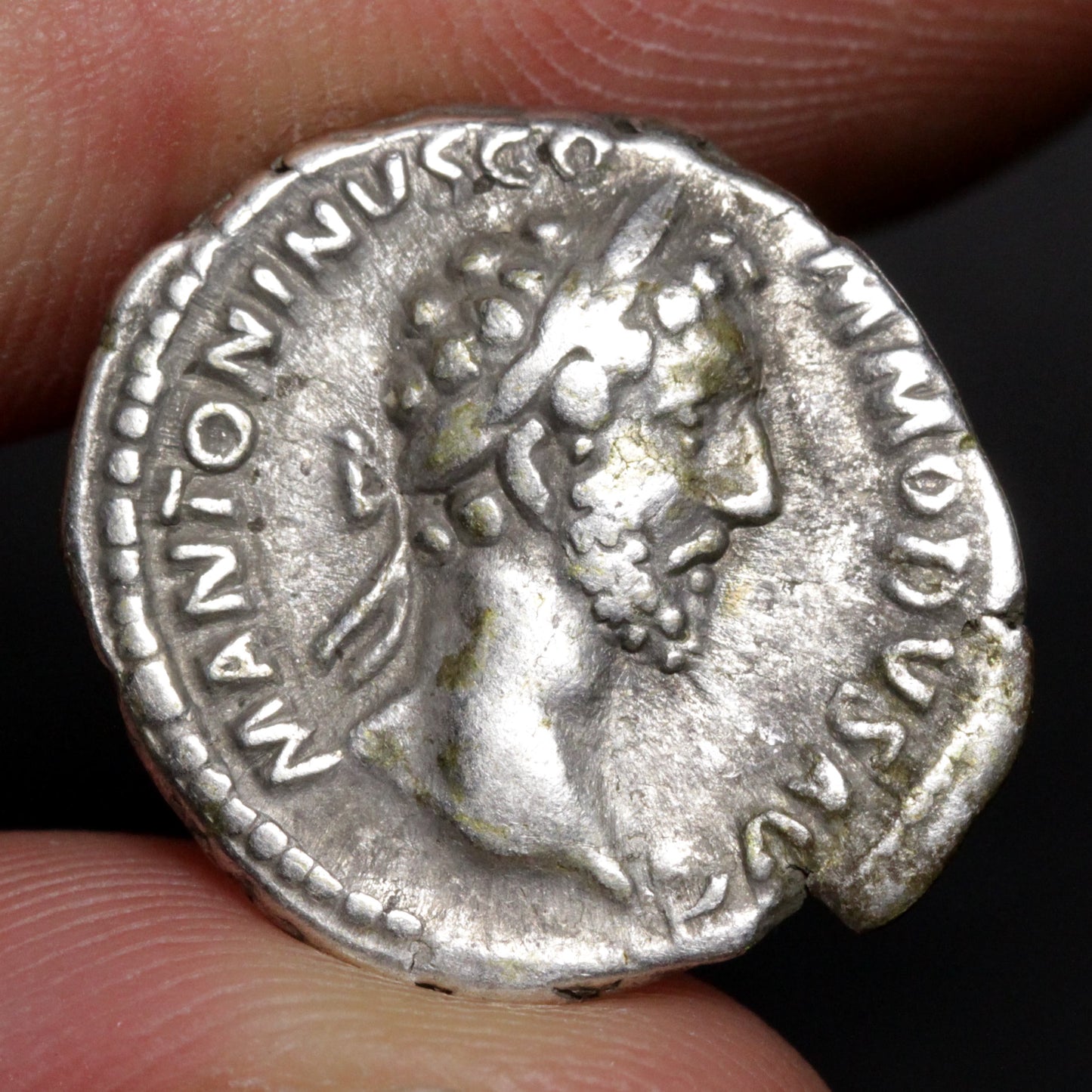 denarius showing portrait of commodus