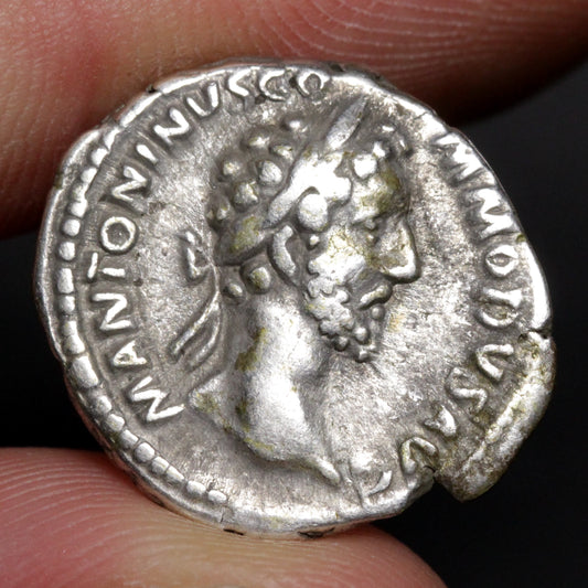 denarius showing portrait of commodus
