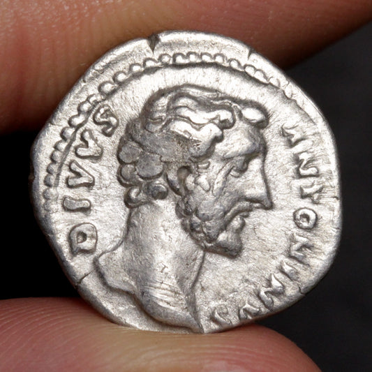 Ancient silver coin with a portrait held between fingers