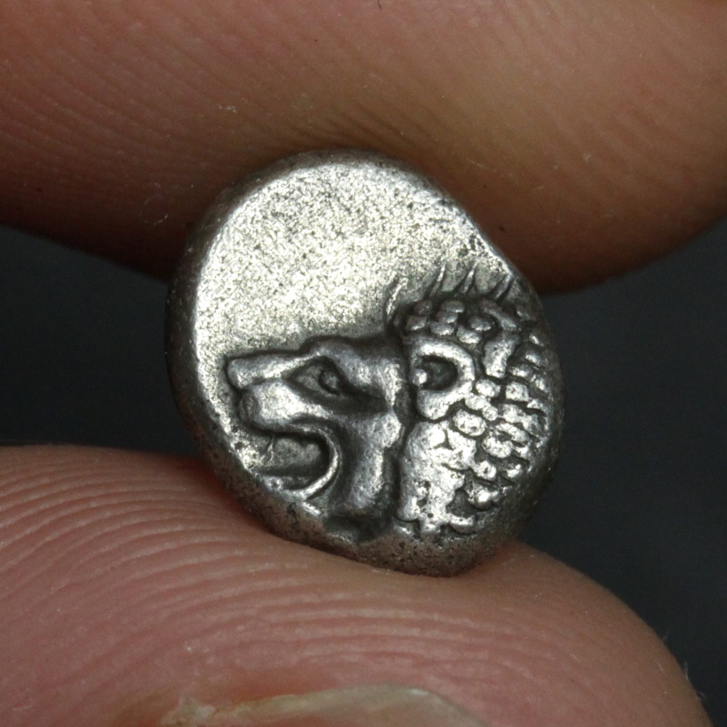 Small silver coin with a lion design held between fingers