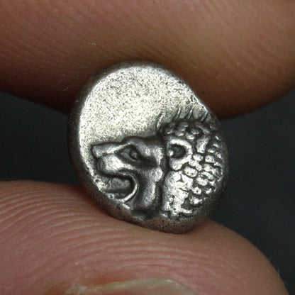 Small silver coin with a lion design held between fingers