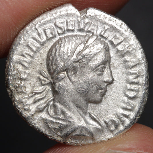 severus alexander denarius obverse side