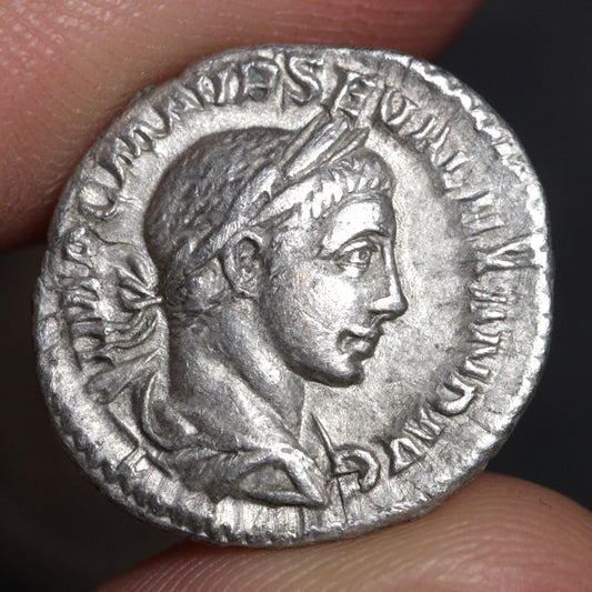 severus alexander denarius obverse