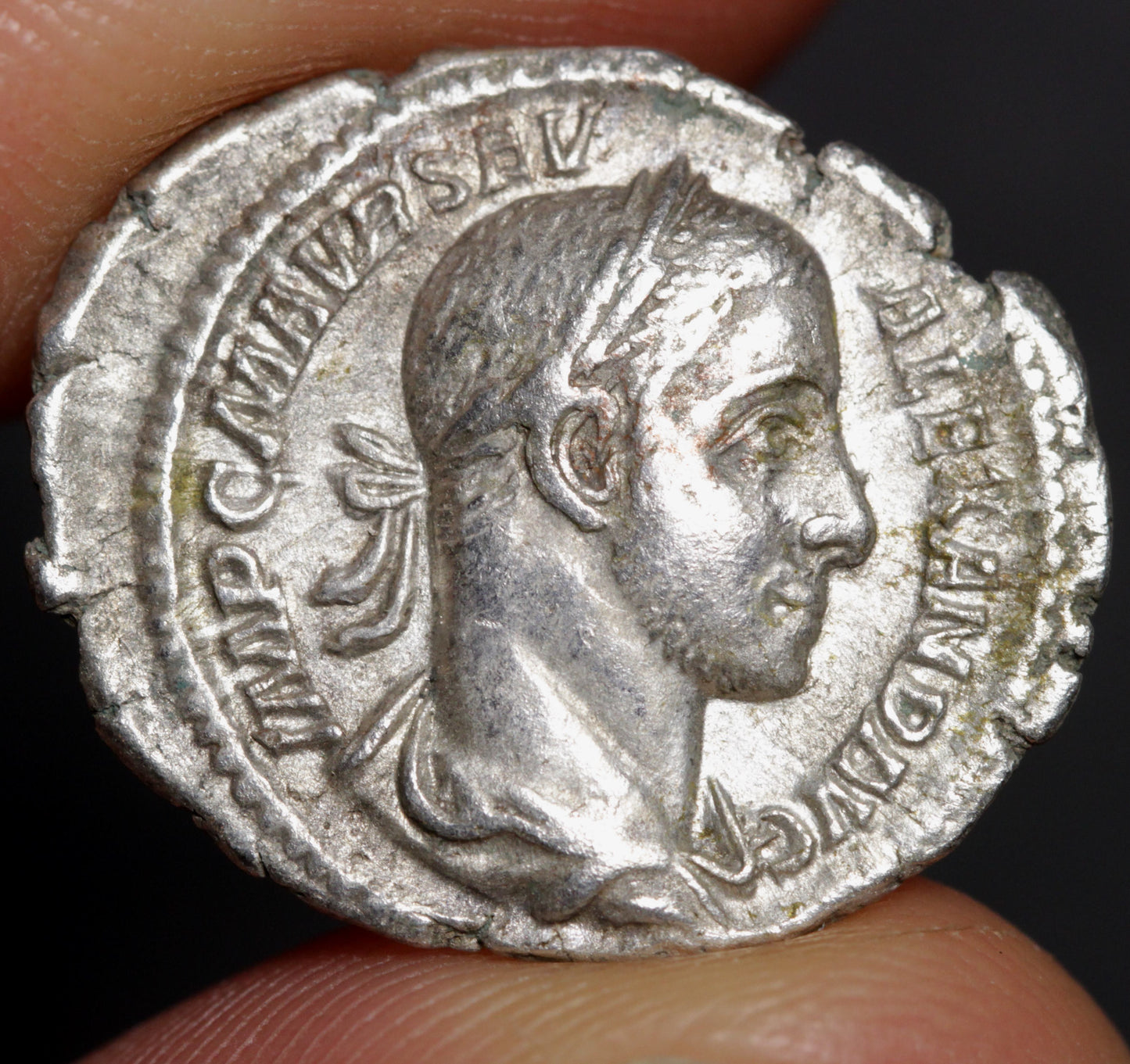 severus alexander denarius obverse