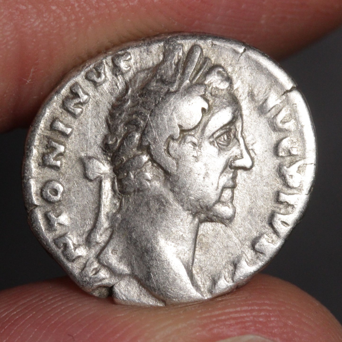 antoninus pius denarius obverse showing portrait of antoninus pius
