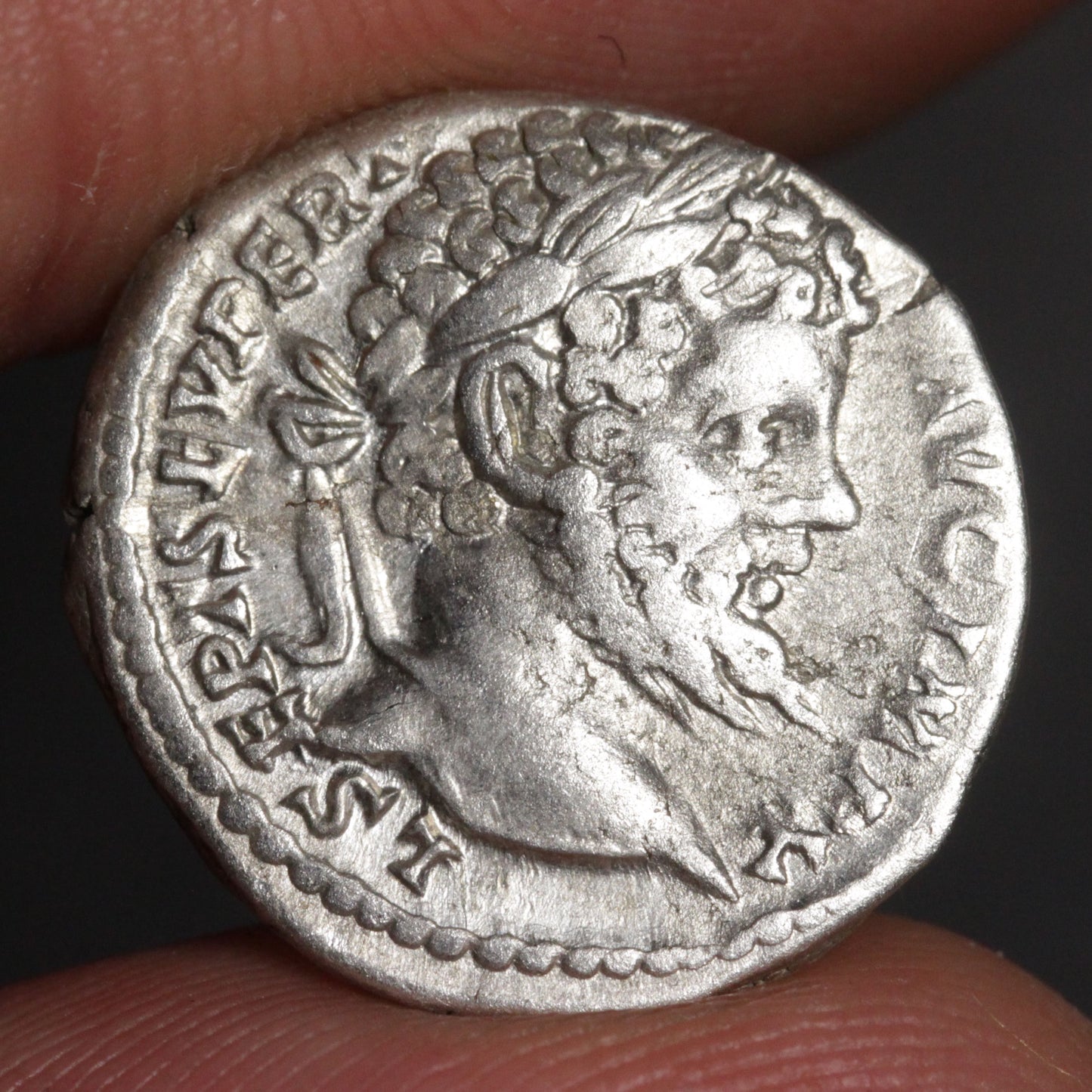 obverse side of septimius severus denarius showing portrait of septimius severus