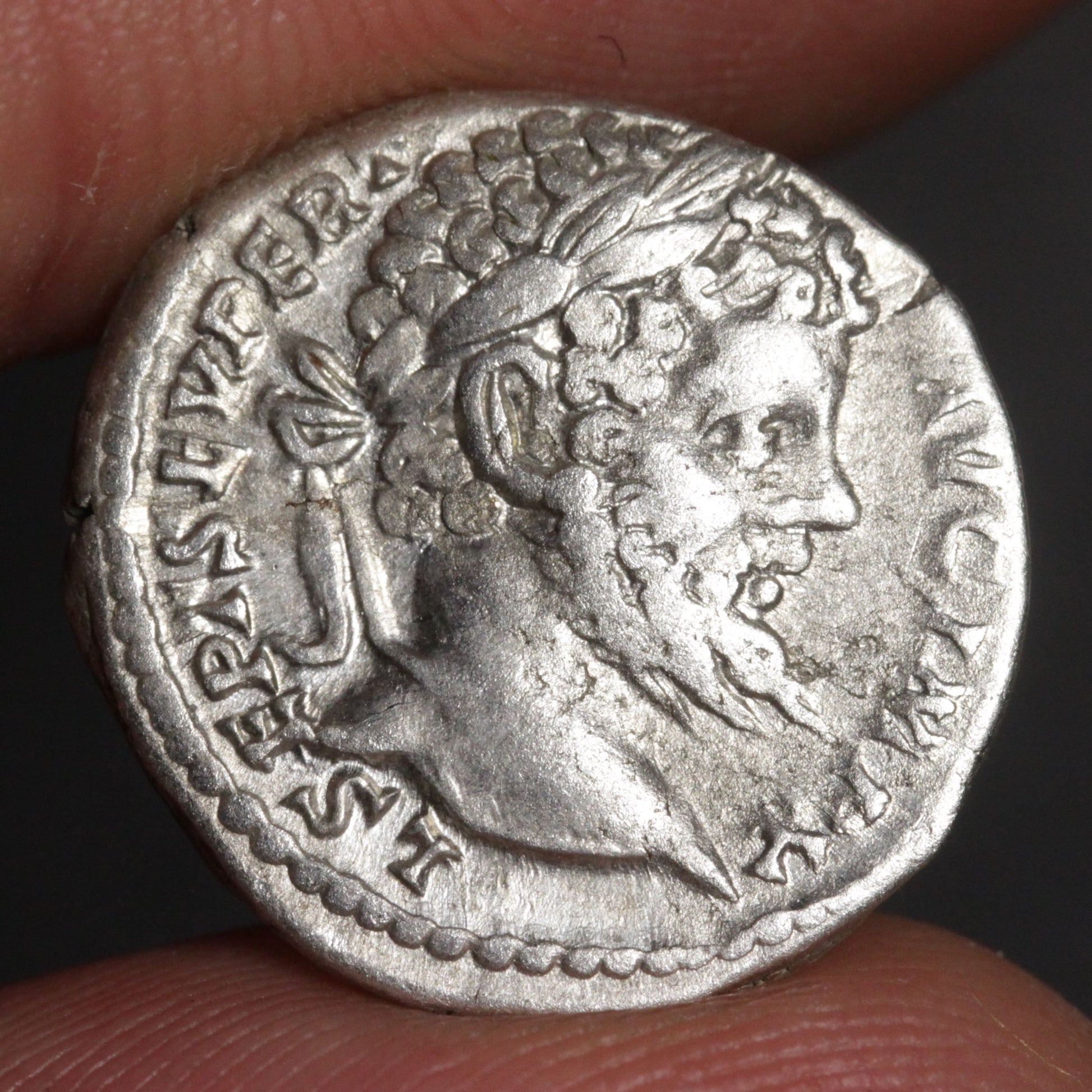 obverse side of septimius severus denarius showing portrait of septimius severus