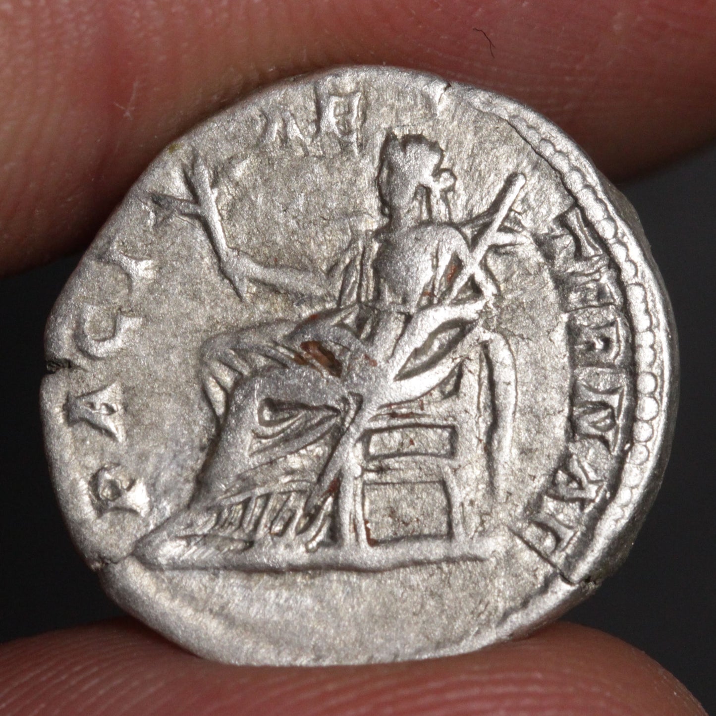reverse side of septimius severus denarius showing pax goddess of peace
