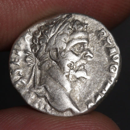 septimius severus denarius showing portrait of septimius severus