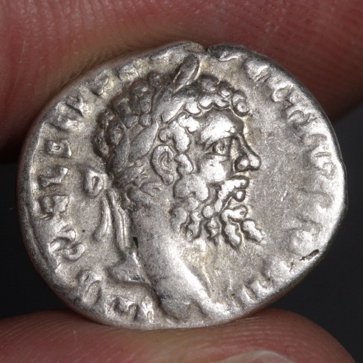 septimius severus denarius showing portrait of septimius severus