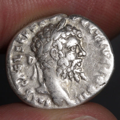 septimius severus denarius showing portrait of septimius severus