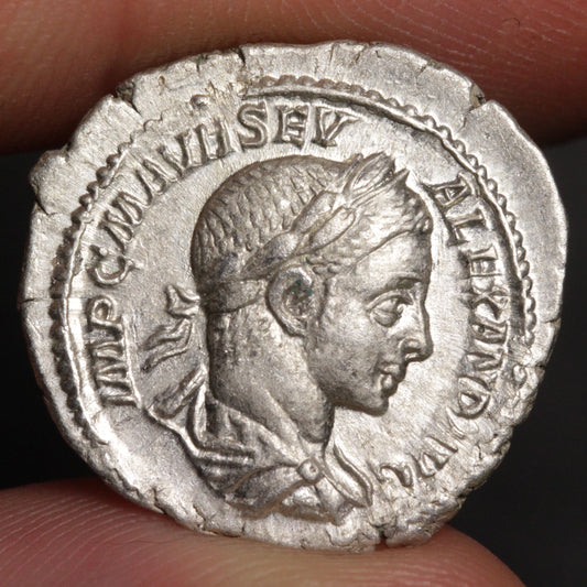 severus alexander denarius showing portrait of severus alexander