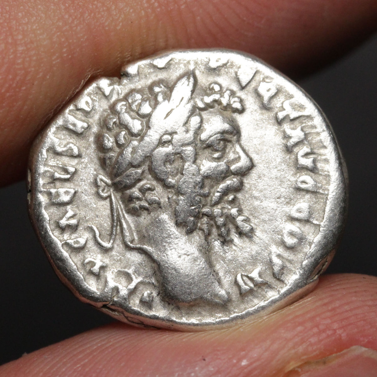 An ancient silver coin featuring a profile portrait of a bearded man wearing a laurel wreath, held between two fingers against a dark background.