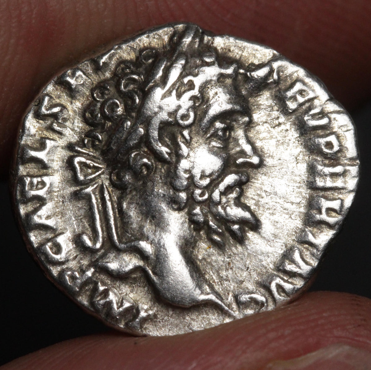 An ancient silver coin featuring a profile portrait of a bearded man, held between fingers against a dark background.