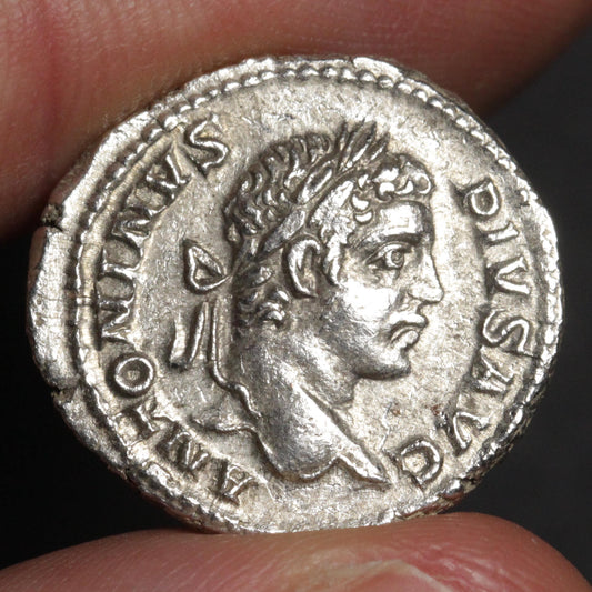 An ancient silver Roman coin featuring a profile portrait of a Roman emperor, held between fingers against a dark background.