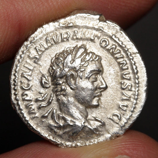 An ancient silver Roman coin featuring a profile portrait of a laurel-crowned figure, held between fingers against a dark background.