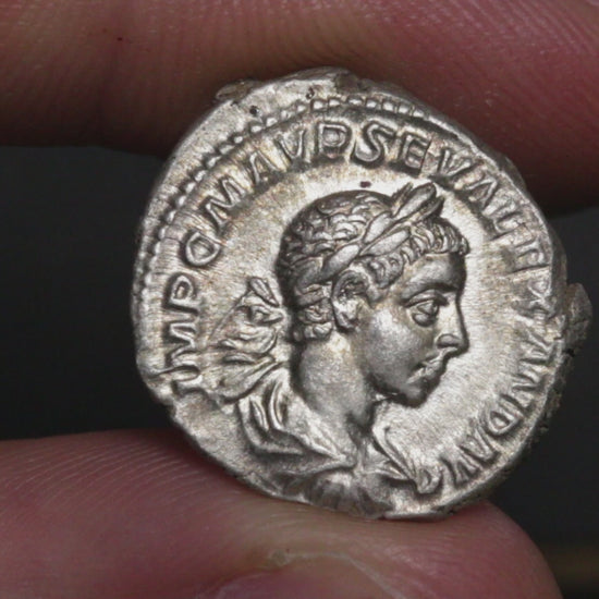 video showing severus alexander denarius being rotated between two fingers