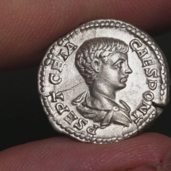 video of geta denarius being rotated between fingers to show both sides