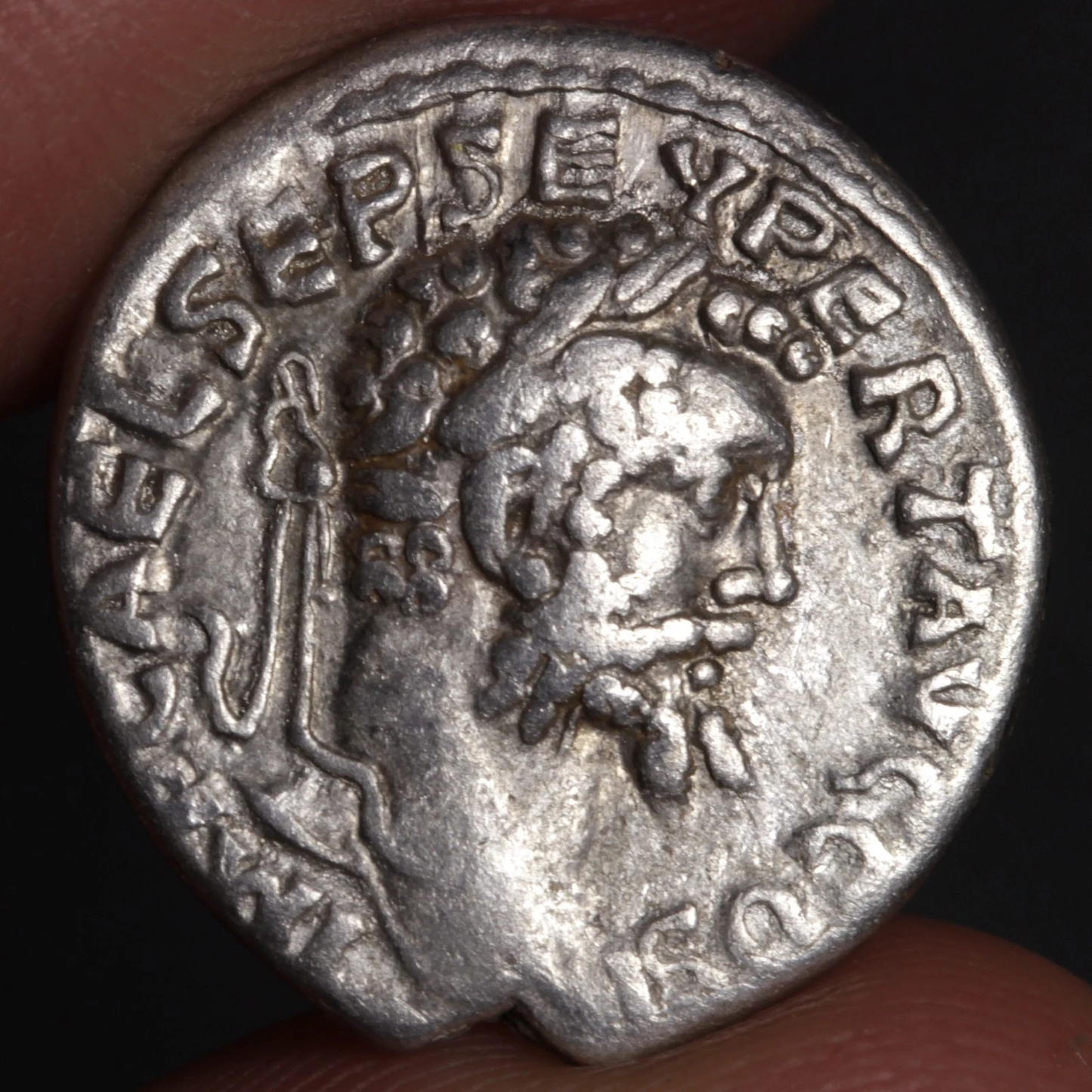 denarius featuring portrait of septimius severus being held between two fingers