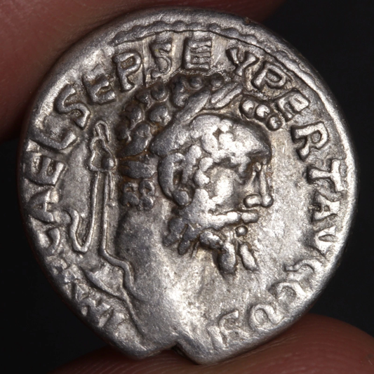denarius featuring portrait of septimius severus being held between two fingers