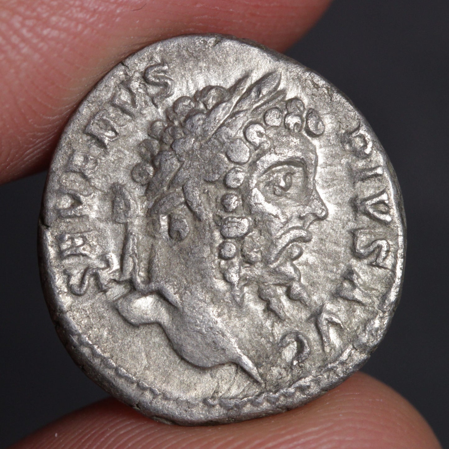 septimius severus denarius obverse side