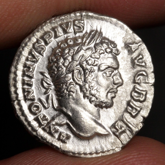 An ancient silver coin featuring a profile portrait of a bearded man wearing a laurel wreath, held between fingers against a dark background.