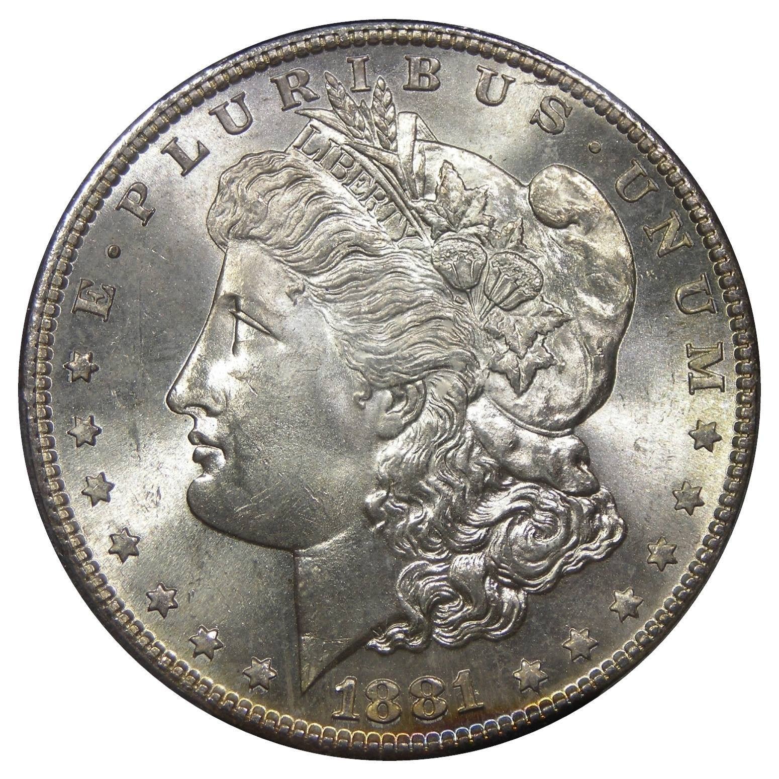 1881-S U.S. Morgan Silver Dollar, PCGS MS-65 - Original Skin Coins