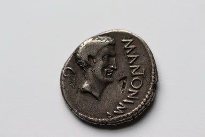 Custom Listing for El - Caesar/Antony 80%
