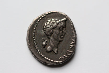 Custom Listing for El - Caesar/Antony 80%