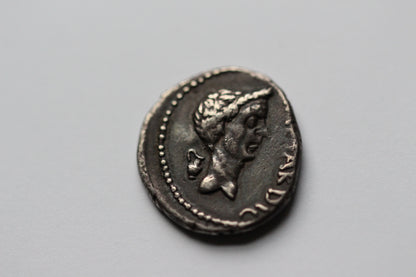 Custom Listing for El - Caesar/Antony 20%