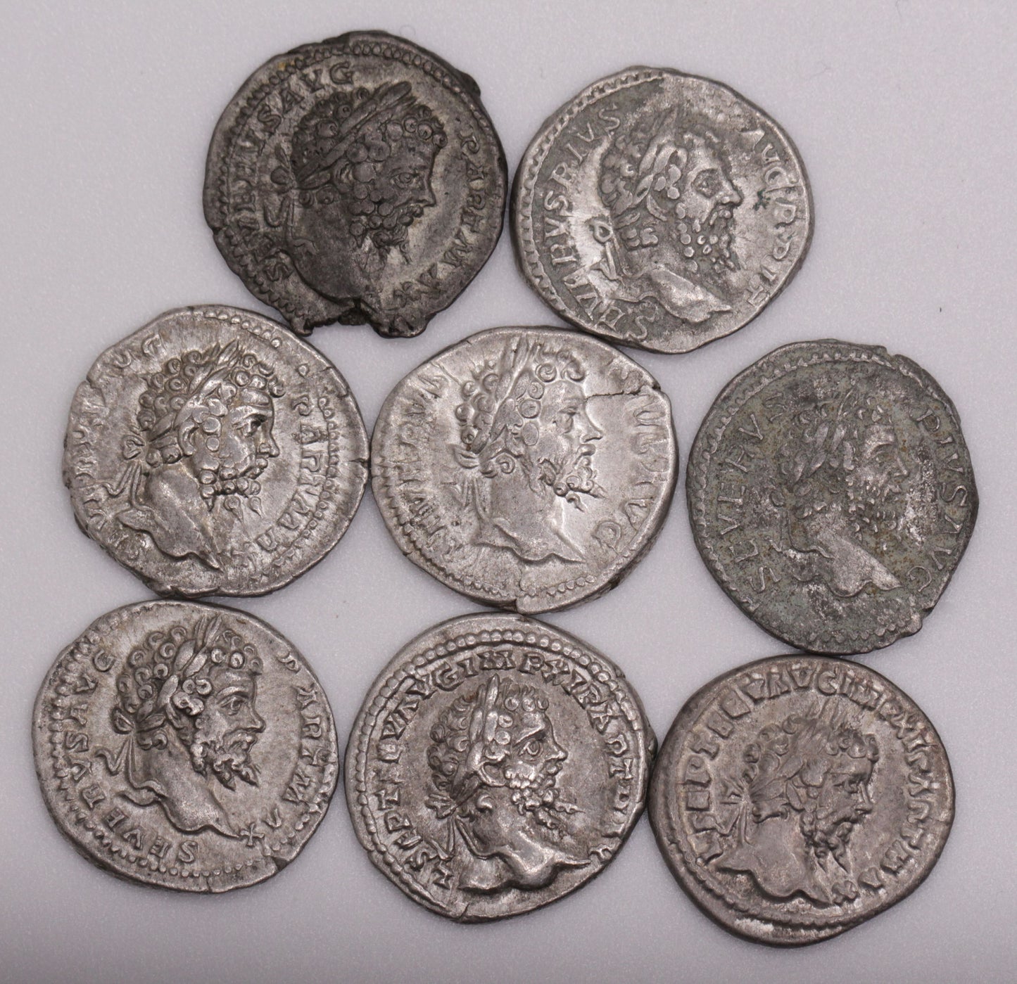 Emperor Septimius Severus Ancient Roman Silver Denarius Coin | Extremely Fine Condition | 1800+ Yrs Old