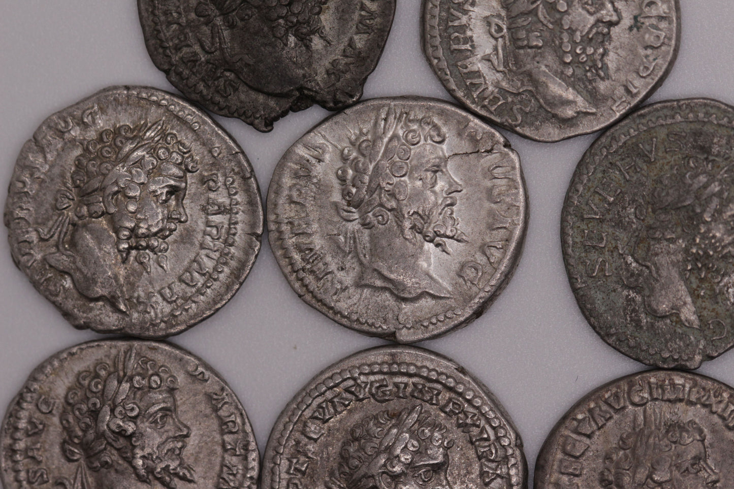 Emperor Septimius Severus Ancient Roman Silver Denarius Coin | Extremely Fine Condition | 1800+ Yrs Old